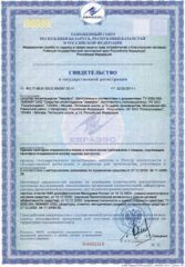 certificate-1-mini
